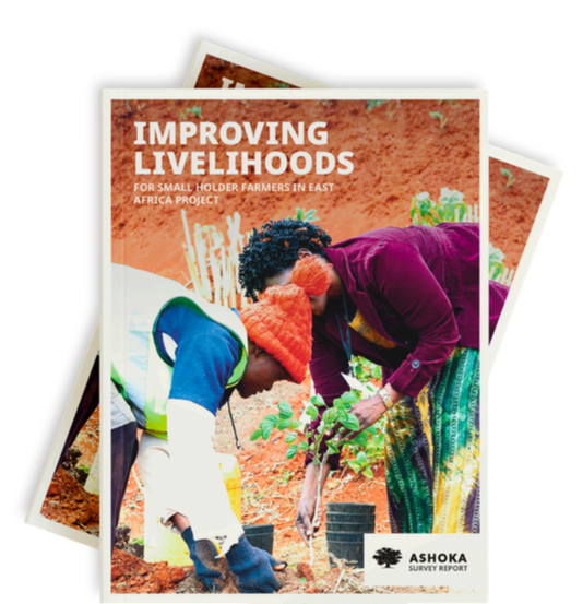 Phase 1 Innovator Mapping Report